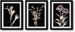 3 Panels Black Frames Giclee White Mat Artworks Black White and Gold Wall Art Canvas Prints Decor Framed Flowers Painting Poster Printed On Canvas Poppy Pictures for Home Decorations (A