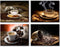 Artisweet Canvas Prints Picture Sensations Framed Waterproof 4-Panel l Hot Coffee Coffee Beans Canvas Art