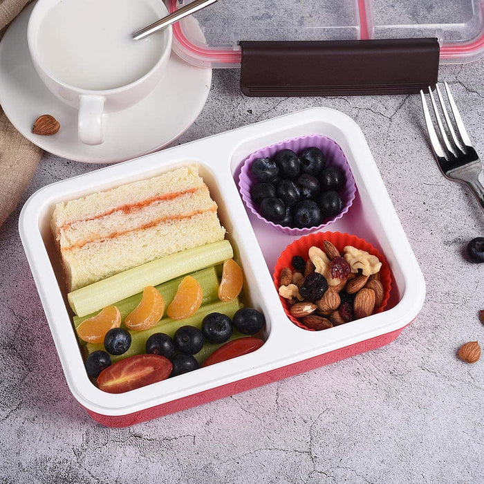 Bento Box 2 Compartments Stainless Steel Lunch Box for Adults and Kids, Portion Control Lunch Containers Leakproof